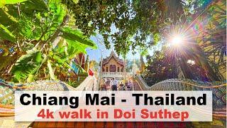 Doi Suthep Chiang Mai Thailand - A 4K POV walking tour