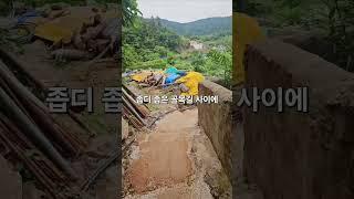 #지세포성 #거제여행 #남파랑길 #좋은사람 #여행그리기토토 #동행 #함께 #맛집 #소노캄 #바다풍경 #마을길 #골목길 #국내여행