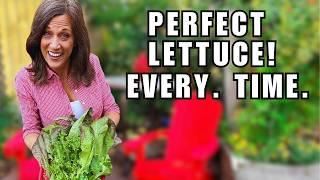 Grow Perfect Lettuce Every Time: My Secret