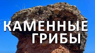 Крым - ПОСТОЯННО УДИВЛЯЕТ - КАМЕННЫЕ ГРИБЫ САТЕРА. Еще одно место ОБЛАГОРОДИЛИ... Капитан Крым