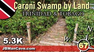 Caroni Swamp view from on land Trinidad and Tobago Caribbean  tour operators Road Trip JBManCave.com