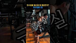 헬스 식단의 핵심, 탄수화물! 운동 성과를 높이는 영양 전략 공개#헬스#운동영양#탄수화물중요성