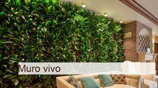 Muro vivo: naturaleza en el hogar