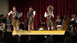 Gleinalm Trio -   "A Echte Volksmusi"