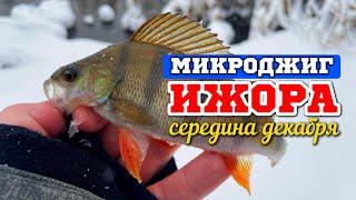 Река ИЖОРА. Ищем Щуку и Окуня в Экстремальных Условиях! #микроджиг #дропшот #рыбалка