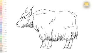 Yak drawing easy | How to draw Yak drawing step by step | Yak drawing tutorials | Buffalo drawings