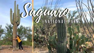 Why You SHOULD Go To SAGUARO NATIONAL PARK | What to do in Saguaro National Park | Vlogmas 2021