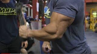 Big Arm Training with Victor Martinez and Chris Bumstead  - Part 1