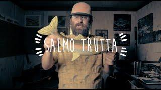 Learn About Trout - Fly Fishing