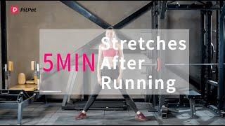 PitPat | 5 Min Stretches After Running