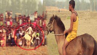 Royal horse race in Bangladesh 2020 || Bangladeshi village horse racing || Fishing Master BD