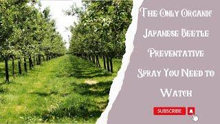 Organic Pest Control | Japanese Beetle Preventative Spray You Need to Watch