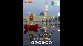 Ya Mustafa || status || saji writes