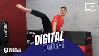 Digital Tutorial Promo | Anchor Leg & Multi-Kicking (Level One)