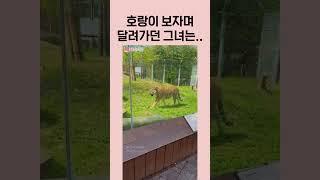 호랑이 실물을 처음 본 아이