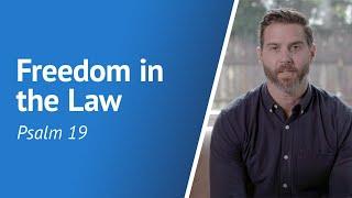 Freedom In The Law - Daily Devotion