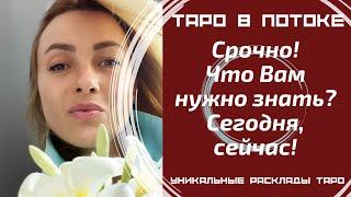 Срочно! Что Вам нужно знать? Сегодня, сейчас! Совет от высших сил для ВАС!