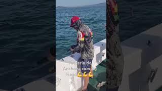 Pescaria com Jig Head, Ilha dos Lobos SC