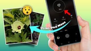 Take the best photos using Mobile Pro Mood | Pro mobile photography tips and tricks