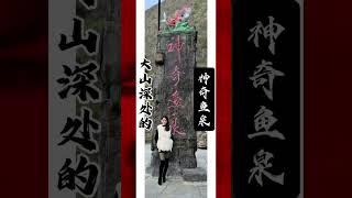 大山深處的神奇魚泉 #探秘100個稀奇古怪的打卡地 #神奇魚泉 #內容啟發搜索 #神奇魚泉真相解密