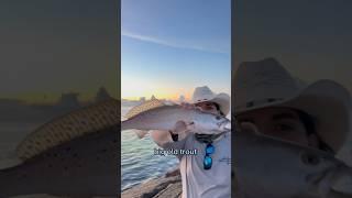 How to catch your limit in 5 minutes  (speckled trout)