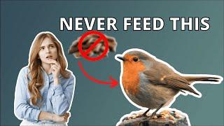 20 Things To Never Feed Wild Birds