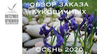 Обзор заказа луковичных. Осень 2020