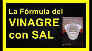 LA FÓRMULA DEL VINAGRE CON SAL #elbrujoshiva #vinagre #sal #energías