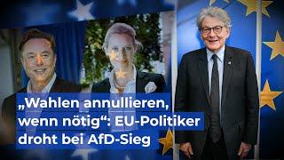 Nach Weidel-Musk-Talk: EU erwägt Wahlannullierung bei AfD-Erfolg