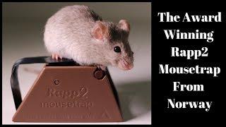 The Award Winning Rapp2 Mousetrap From Norway. Mousetrap Monday