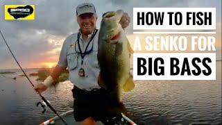 How to fish the Senko for big Bass!