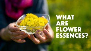 LOTUSWEI Flower Essences