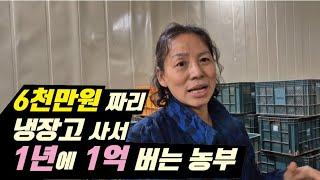 [한국농업기술TV 열대둥근마 재배 A~Z] EP 5,  6천만 원 짜리 냉장고로 1년에 1억 버는 농부, 열대둥근마 보관방법, 큐어링하는 방법,