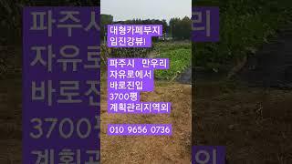 2024.4.17대형카페부지급매(파주시 탄현면 ) 자유로와 접근성굿!