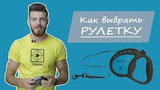 Как подобрать поводок для собаки? Выбор рулетки для собаки