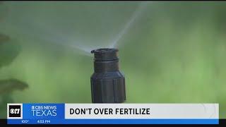 Gardening 101: How to manage your water in the Texas heat