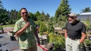 From Nursery to Garden: Fred's Plant Picks at Burkland Gardens!