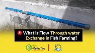 What is Flow Through water Exchange in Fish Farming || Water Quality and Management