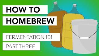 So You Want to Brew! Our Intro Course to Brewing and Fermentation | Part 3: Fermentation