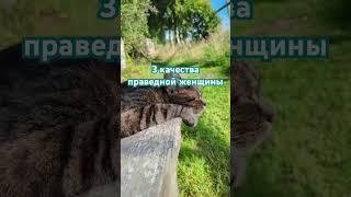 3 качества праведной женщины | #quran #религия #ислам #сабр