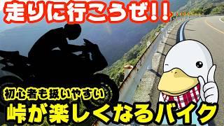 【公道最速】初心者も峠を楽しめる!!最適なバイクはコレだ!!