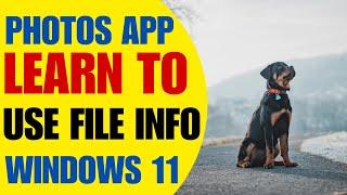 HOW TO USE FILE INFO IN PHOTOS APP | View Photo Details in Windows 11