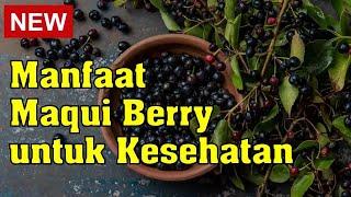 10 Manfaat Maqui Berry, Jaga Kesehatan Jantung hingga Usus