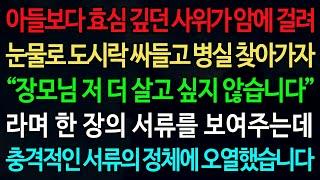 실화사연-아들보다 효심 깊던 사위가 암에 걸려 눈물로 도시락 싸들고 병실 찾아가자 “장모님 저 더 살고 싶지 않습니다” 라며 한 장의 서류를 보여주는데 충격적인 서류의 정체에 오열