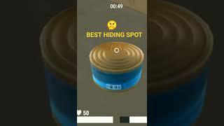 HIDE ONLINE -BEST HIDING SPOT#shorts #hideonline