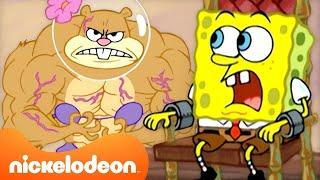 60 MINUTES of Sandy Saving the Day ‍️ | SpongeBob