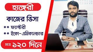 হাঙ্গেরি কাজের ভিসা দেওয়া হচ্ছে | Hungary work permit visa 2024 | হাঙ্গেরি ওয়ার্ক পারমিট ভিসা 2024