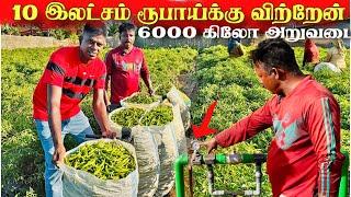 புதிய முறையில்  6000 கிலோ உற்பத்தி ! முயற்சி இலட்சங்களில்  உழைக்கும் முயரற்சியாளர் | Tamil  Vlog