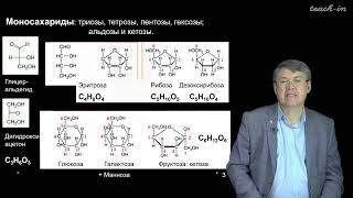 Дубынин В.А. - 100 часов школьной биологии - 2.2. Углеводы: от глюкозы к моносахарида м