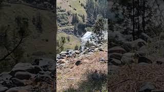 RV to a Trinity Dam Overflow! Lots of rain again this year in California! @somedayistodayrv